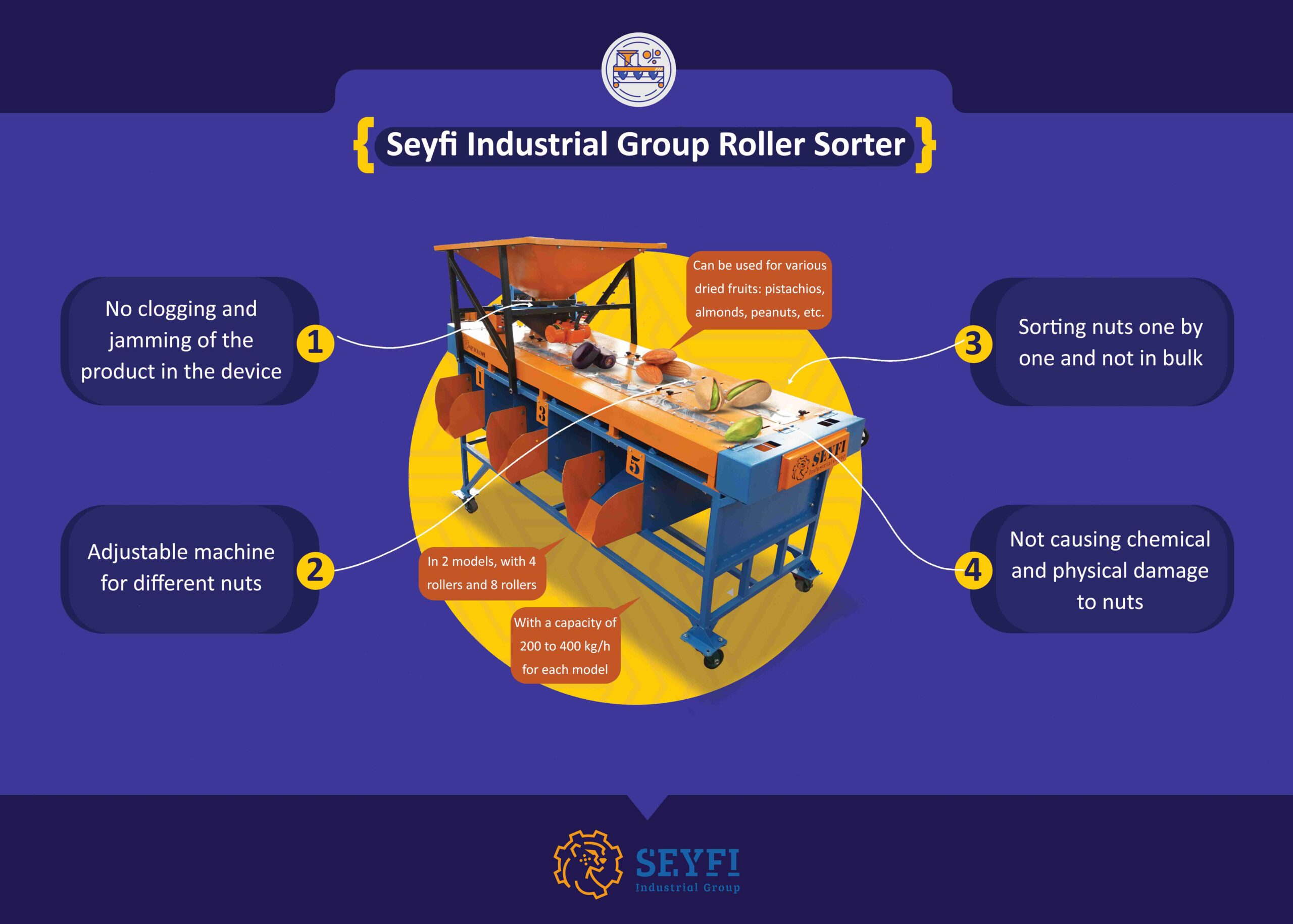 Seyfco Sorting Machine