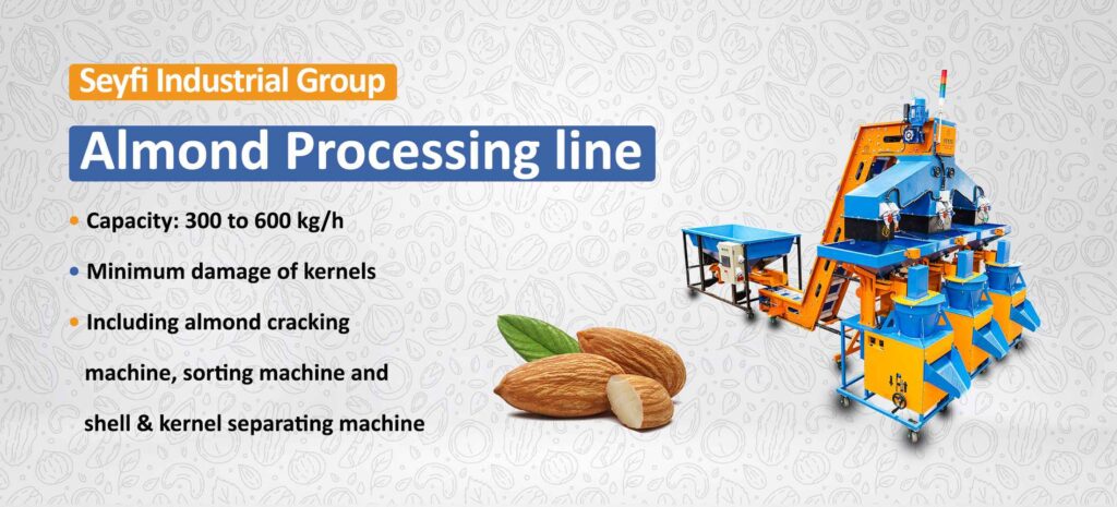 almond processing line